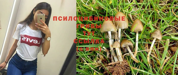 эйфоретик Беломорск