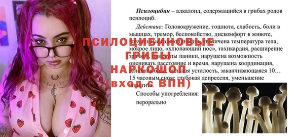 эйфоретик Беломорск