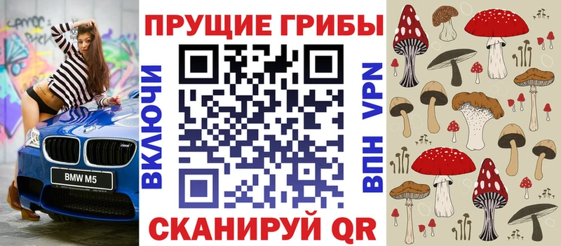 Псилоцибиновые грибы Psilocybine cubensis  как найти закладки  Реутов 